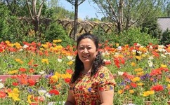 杨幂的qq号是多少 要真的